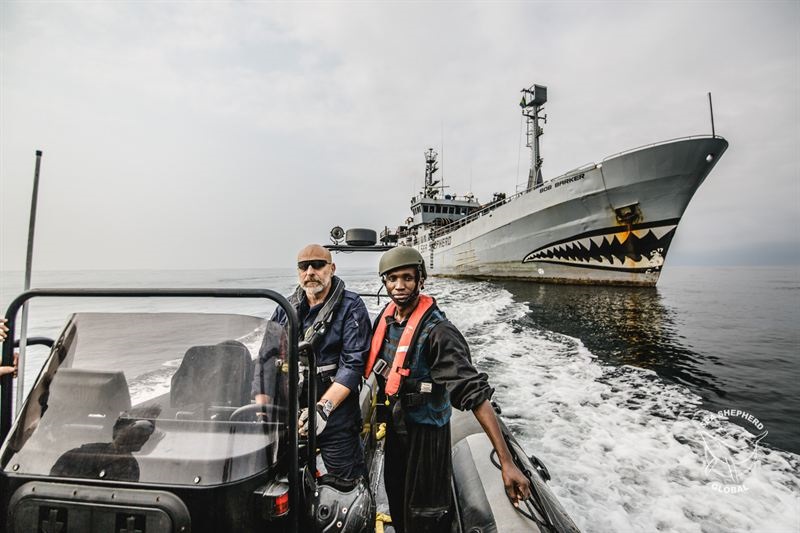 Ammiraglio Giuseppe De Giorgi - Sea Shepherd - Gabon e nuove sfide