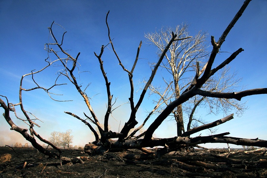 Ammiraglio Giuseppe De Giorgi - Siberia, nel disastro ambientale in cui brucia addirittura il circolo polare artico