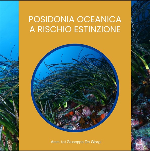 posidonia